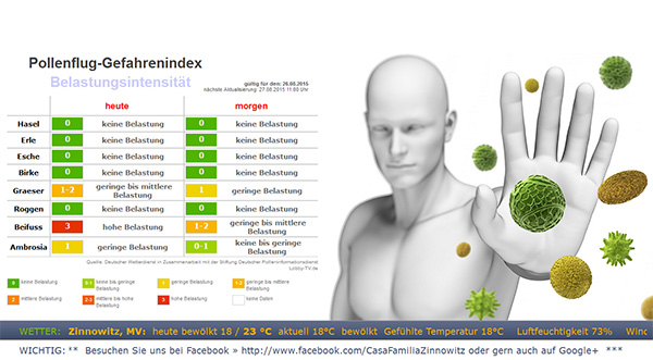 Pollenbelastung